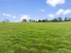17 Norris Street, Cygnet, Tas 7112-Image