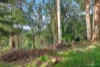 17 Outlook Drive, Kalorama, Vic 3766-Image