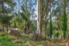 17 Outlook Drive, Kalorama, Vic 3766-Image