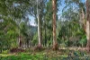 17 Outlook Drive, Kalorama, Vic 3766-Image