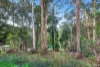 17 Outlook Drive, Kalorama, Vic 3766-Image