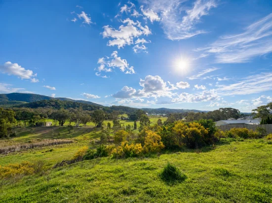 17 Richards Street, Mudgee, NSW 2850