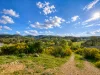 17 Richards Street, Mudgee, NSW 2850-Image