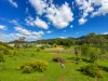 17 Richards Street, Mudgee, NSW 2850-Image