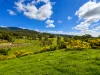17 Richards Street, Mudgee, NSW 2850-Image