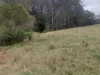 17 Ross Road, Ravenshoe, Qld 4888-Image