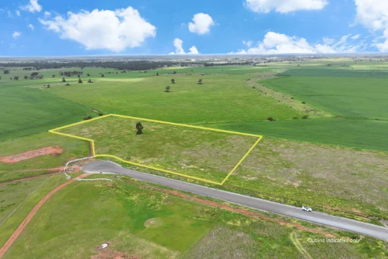 17 Scenic Drive, Forbes, NSW 2871