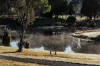 17 Smith Street, Waratah, Tas 7321-Image