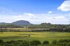 17 Willis Road, Bli Bli, Qld 4560-Image