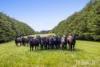 170 Patterson Road, Boneo, Vic 3939-Image