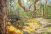 171 Rifle Range Road, Teebar, Qld 4620-Image