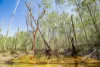 171 Rifle Range Road, Teebar, Qld 4620-Image