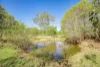 171 Rifle Range Road, Teebar, Qld 4620-Image