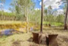 171 Rifle Range Road, Teebar, Qld 4620-Image