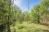 171 Rifle Range Road, Teebar, Qld 4620-Image