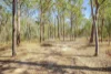 171 Rifle Range Road, Teebar, Qld 4620-Image