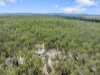 171 Rifle Range Road, Teebar, Qld 4620-Image