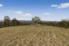 171 Six Mile Creek Road, Postmans Ridge, Qld 4352-Image