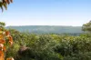 171 Vise Road, Mons, Qld 4556-Image