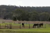 172 Cawdor Drive, Cawdor, Qld 4352-Image