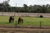172 Cawdor Drive, Cawdor, Qld 4352-Image