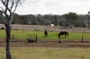 172 Cawdor Drive, Cawdor, Qld 4352-Image