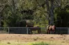 172 Cawdor Drive, Cawdor, Qld 4352-Image
