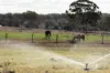 172 Cawdor Drive, Cawdor, Qld 4352-Image