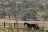 172 Cawdor Drive, Cawdor, Qld 4352-Image