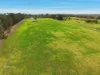 172 Minerva Road, Wedderburn, NSW 2560-Image