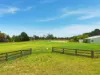 172 Minerva Road, Wedderburn, NSW 2560-Image