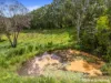 172 Top Forestry Road, Ridgewood, Qld 4563-Image