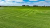 173 Stony Flat Road, Wandilo, SA 5291-Image