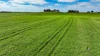 173 Stony Flat Road, Wandilo, SA 5291-Image