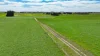 173 Stony Flat Road, Wandilo, SA 5291-Image