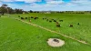 173 Stony Flat Road, Wandilo, SA 5291-Image