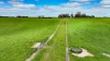 173 Stony Flat Road, Wandilo, SA 5291-Image