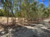 174 Lewis Road, Forrestfield, WA 6058-Image