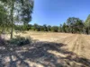 174 Lewis Road, Forrestfield, WA 6058-Image
