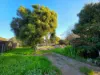 174 Main South Road, Yankalilla, SA 5203-Image