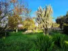 174 Main South Road, Yankalilla, SA 5203-Image