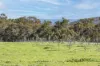 175 Dryandra Avenue, Yallingup, WA 6282-Image