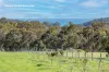 175 Dryandra Avenue, Yallingup, WA 6282-Image