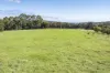 175 Dryandra Avenue, Yallingup, WA 6282-Image
