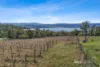 1769 West Tamar Highway, Rosevears, Tas 7277-Image