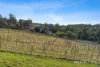 1769 West Tamar Highway, Rosevears, Tas 7277-Image