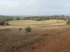 177 O'Connell Road, Wandering, WA 6308-Image