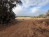 177 O'Connell Road, Wandering, WA 6308-Image