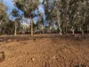 177 O'Connell Road, Wandering, WA 6308-Image