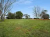 17A Pepperell Drive, Drouin, Vic 3818-Image